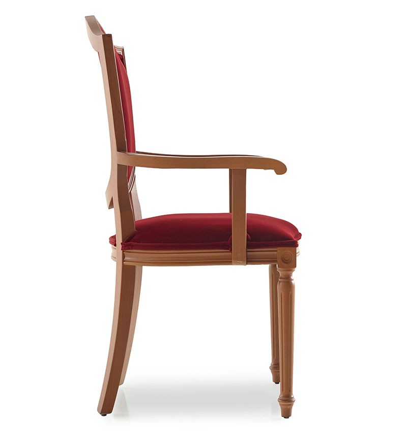 Serenata thumbnail 3