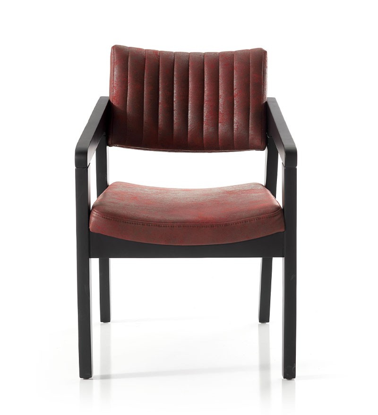 Fayra küçük görsel 7