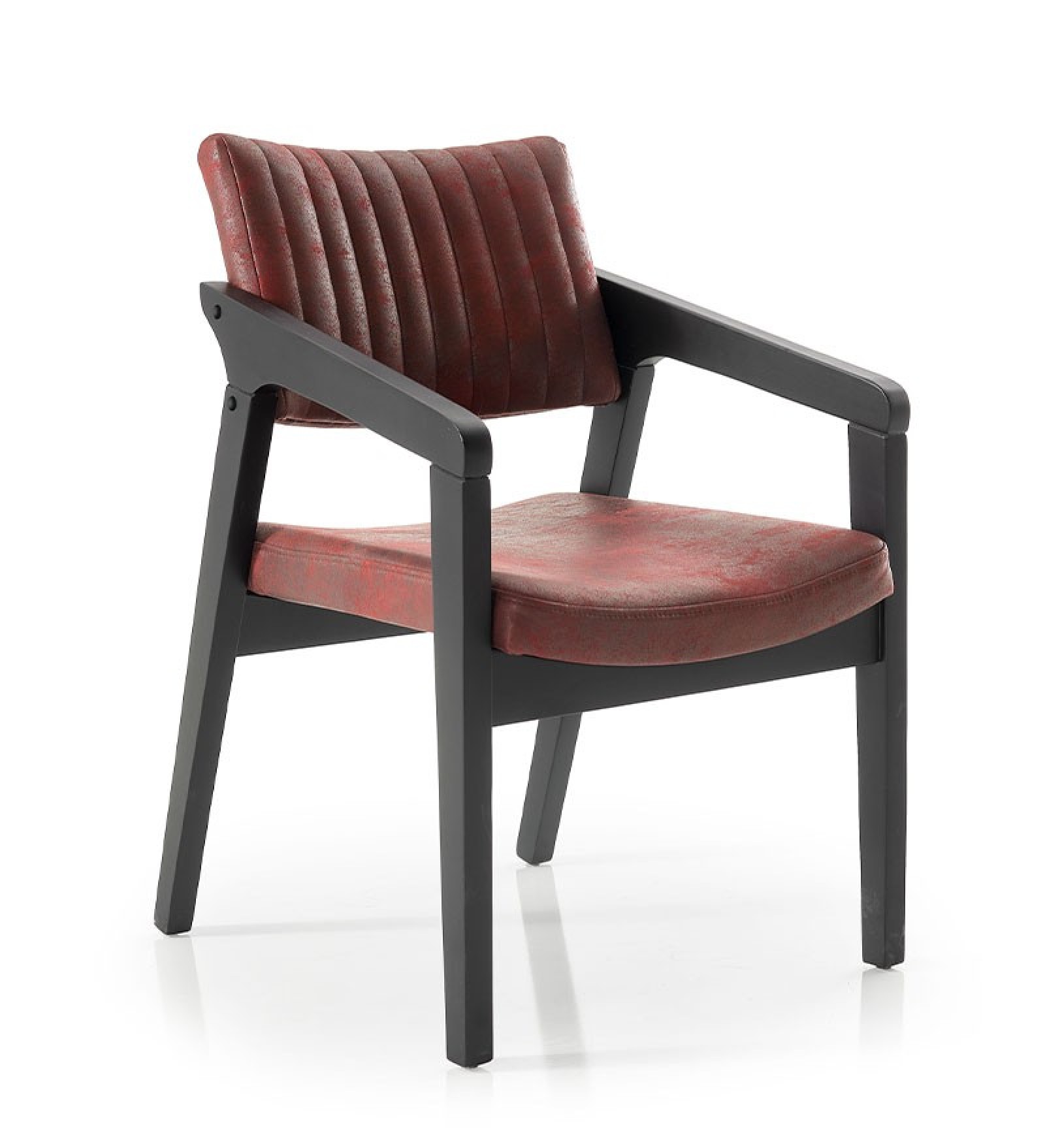 Fayra küçük görsel 8