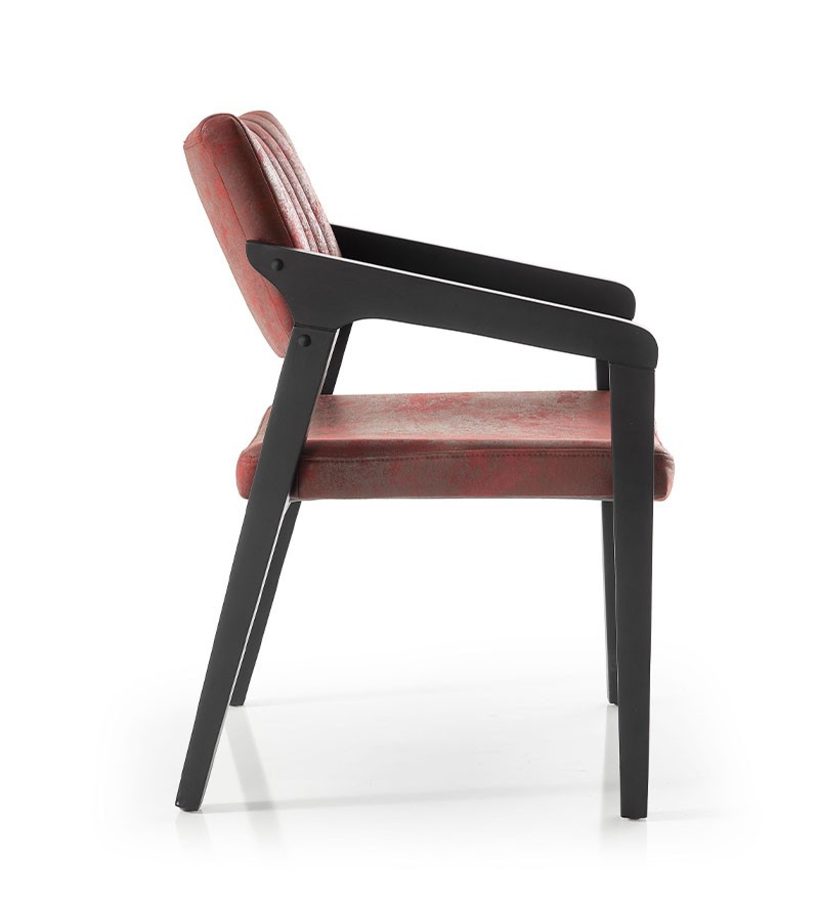 Fayra küçük görsel 9