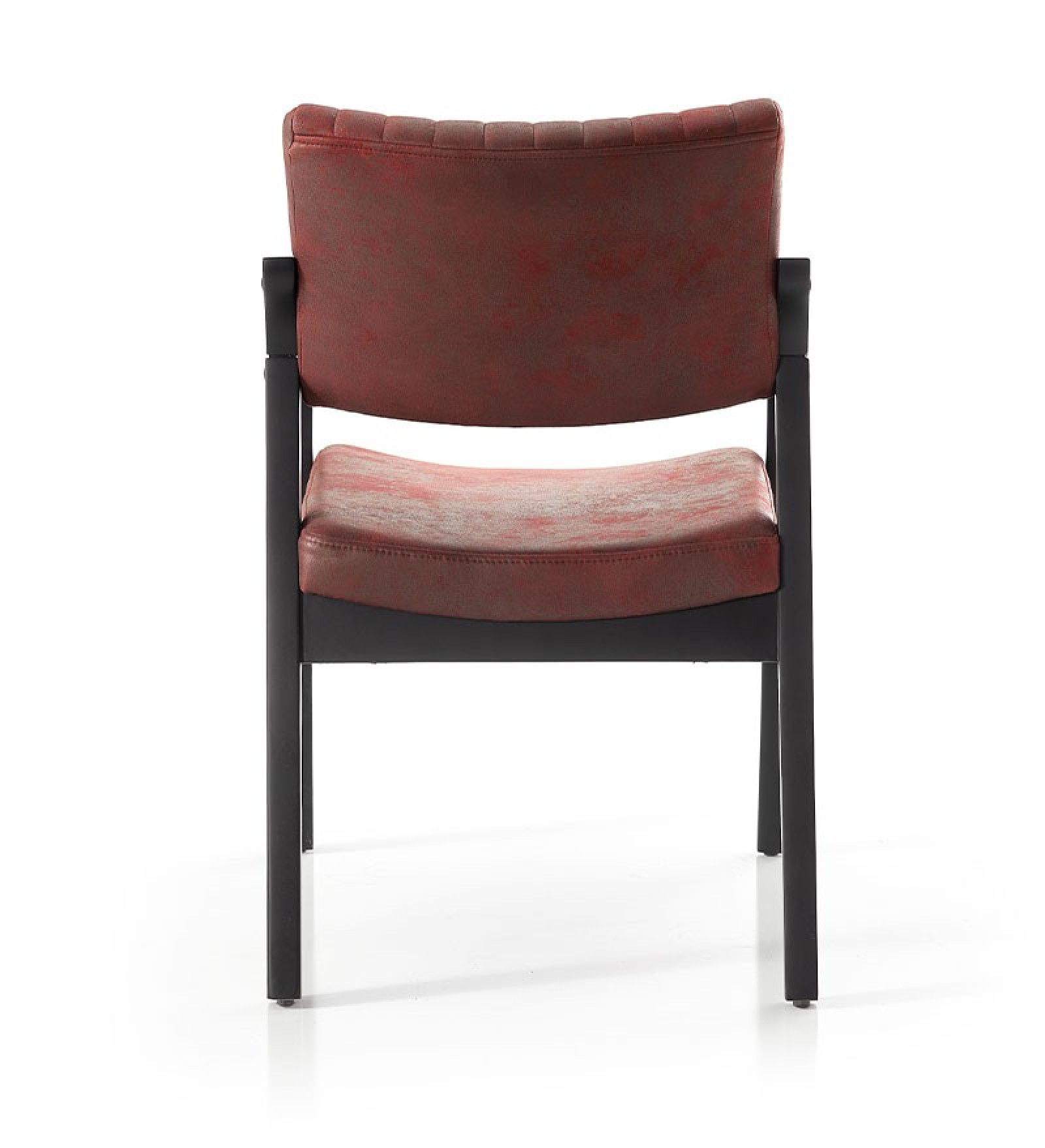 Fayra küçük görsel 10