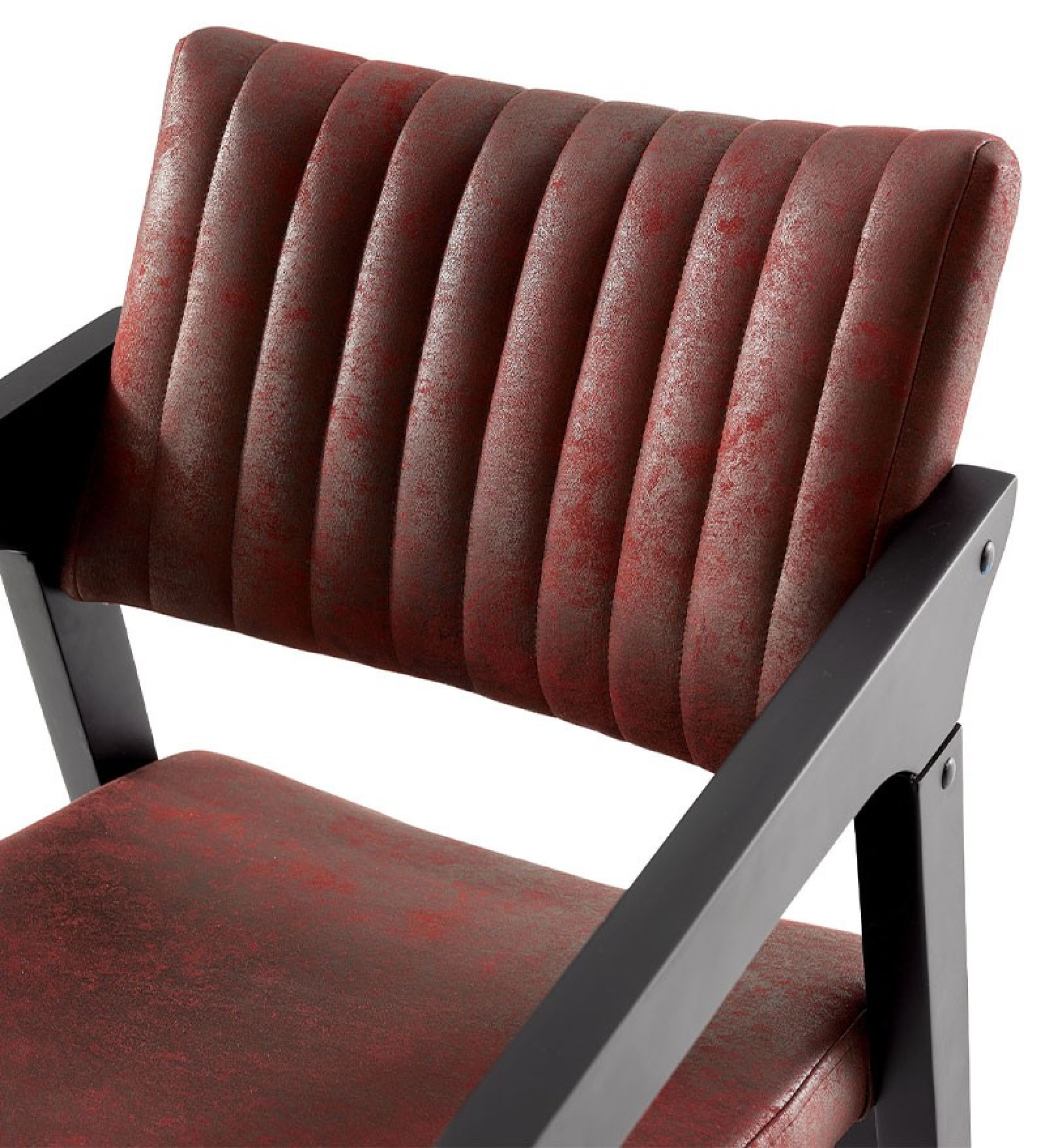 Fayra küçük görsel 11